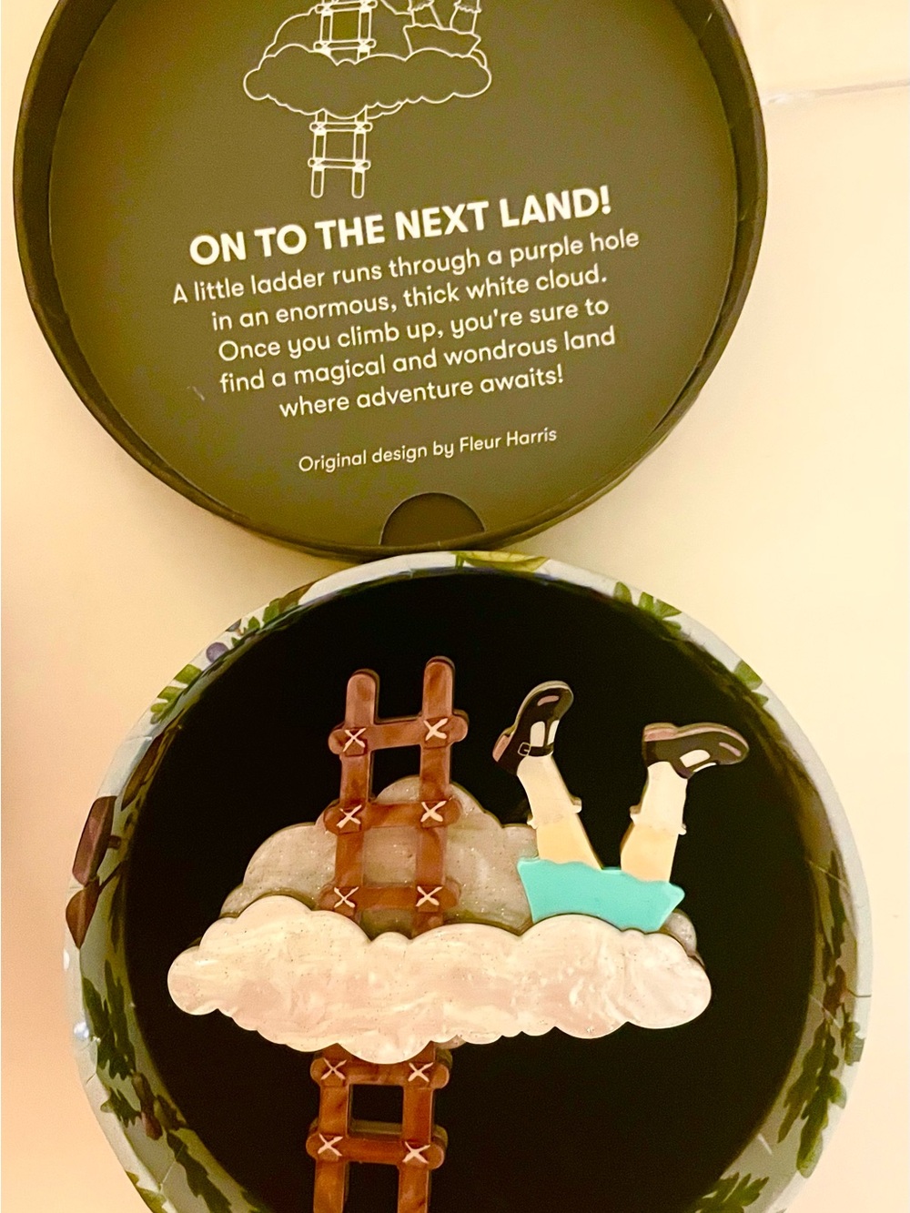 NIB Erstwilder On To The Next Land Brooch